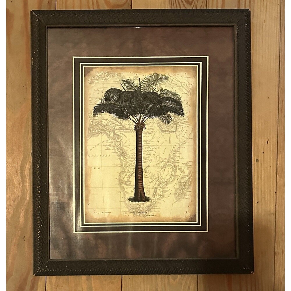 Vintage Palm Tree Framed Print Botanical Map Dark Academia Safari Decor